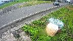 yotec6-20240707125110.jpg