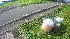yotec6-20240808080154.jpg