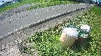 yotec6-20240808095128.jpg
