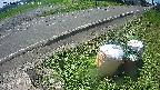 yotec6-20240808103116.jpg