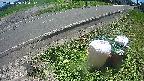 yotec6-20240808114111.jpg