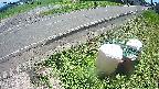 yotec6-20240808120112.jpg