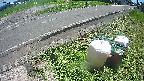 yotec6-20240808121112.jpg