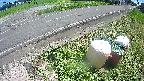yotec6-20240808133113.jpg