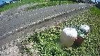 yotec6-20240808135111.jpg