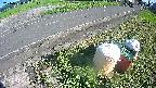 yotec6-20240808161111.jpg