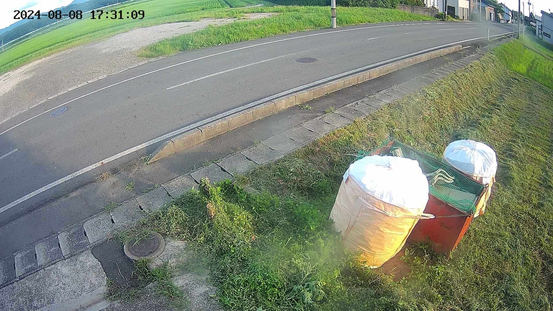 yotec6-20240808173110.jpg