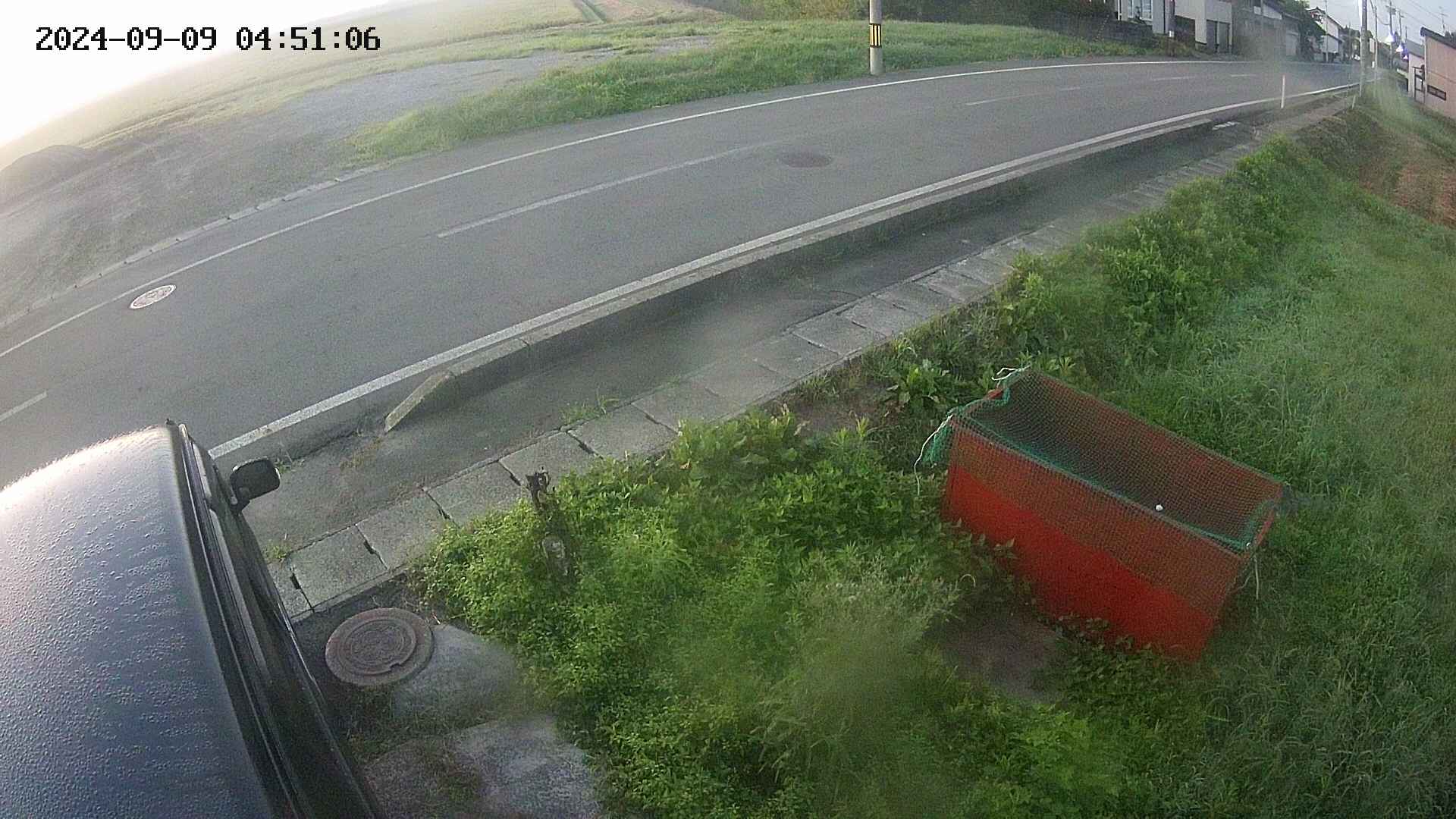 yotec6-20240909045107.jpg