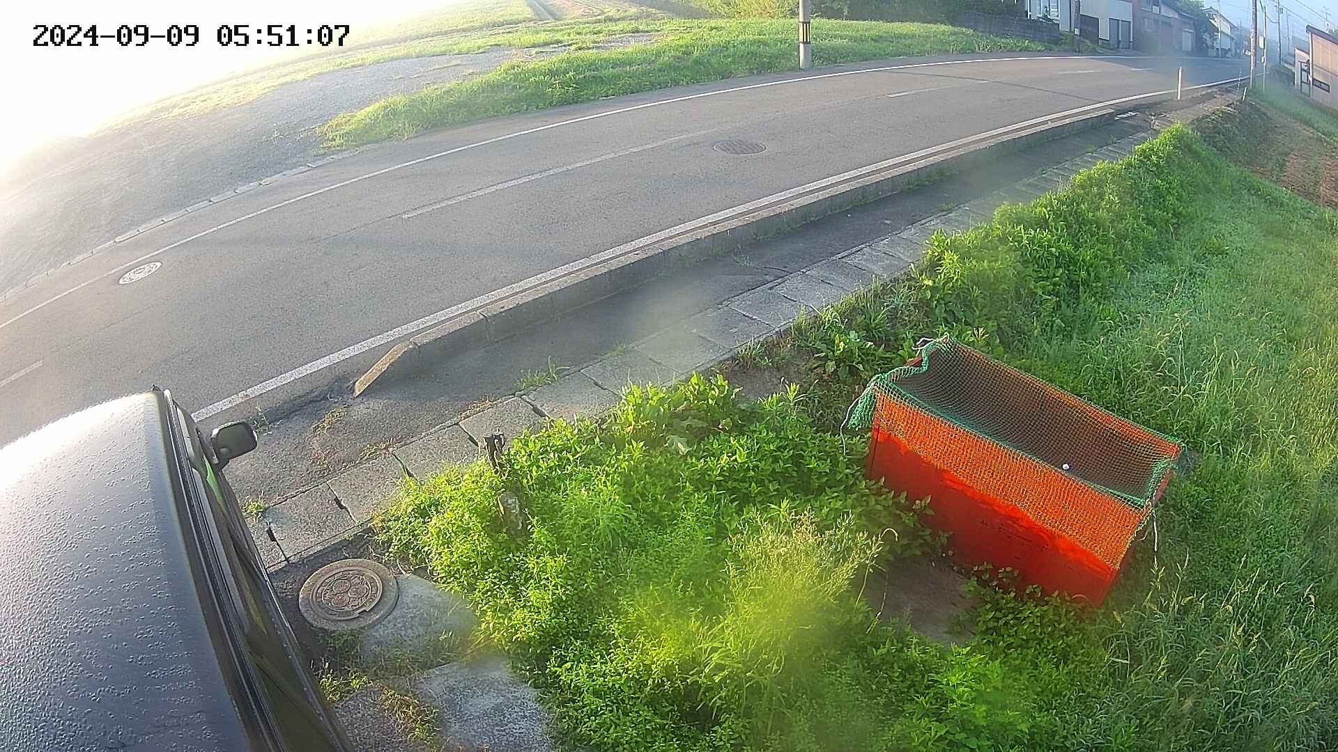 yotec6-20240909055108.jpg