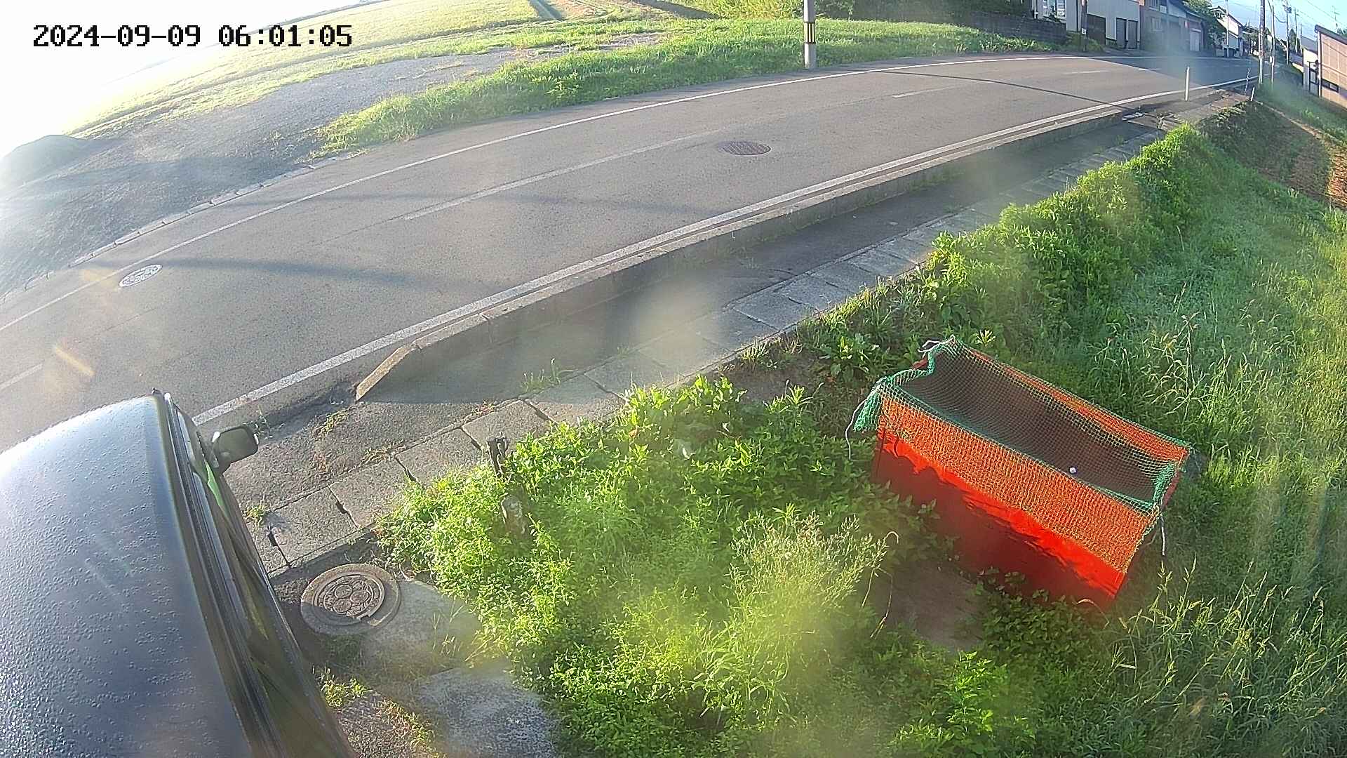 yotec6-20240909060107.jpg