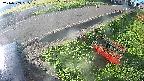 yotec6-20240909065109.jpg