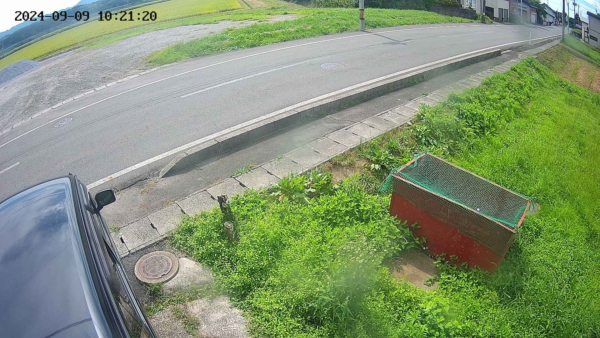 yotec6-20240909102121.jpg