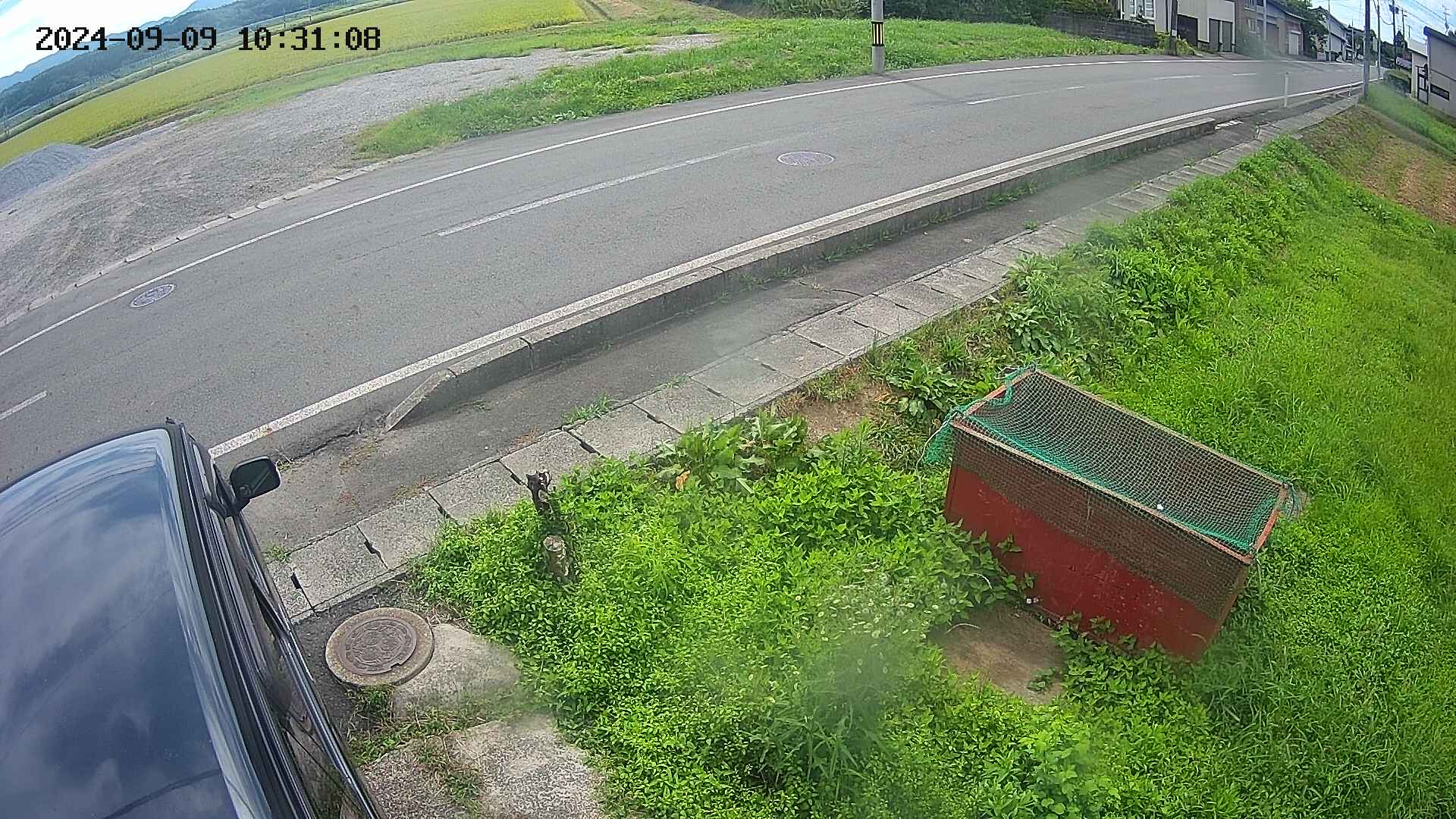 yotec6-20240909103109.jpg