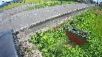 yotec6-20240909104116.jpg