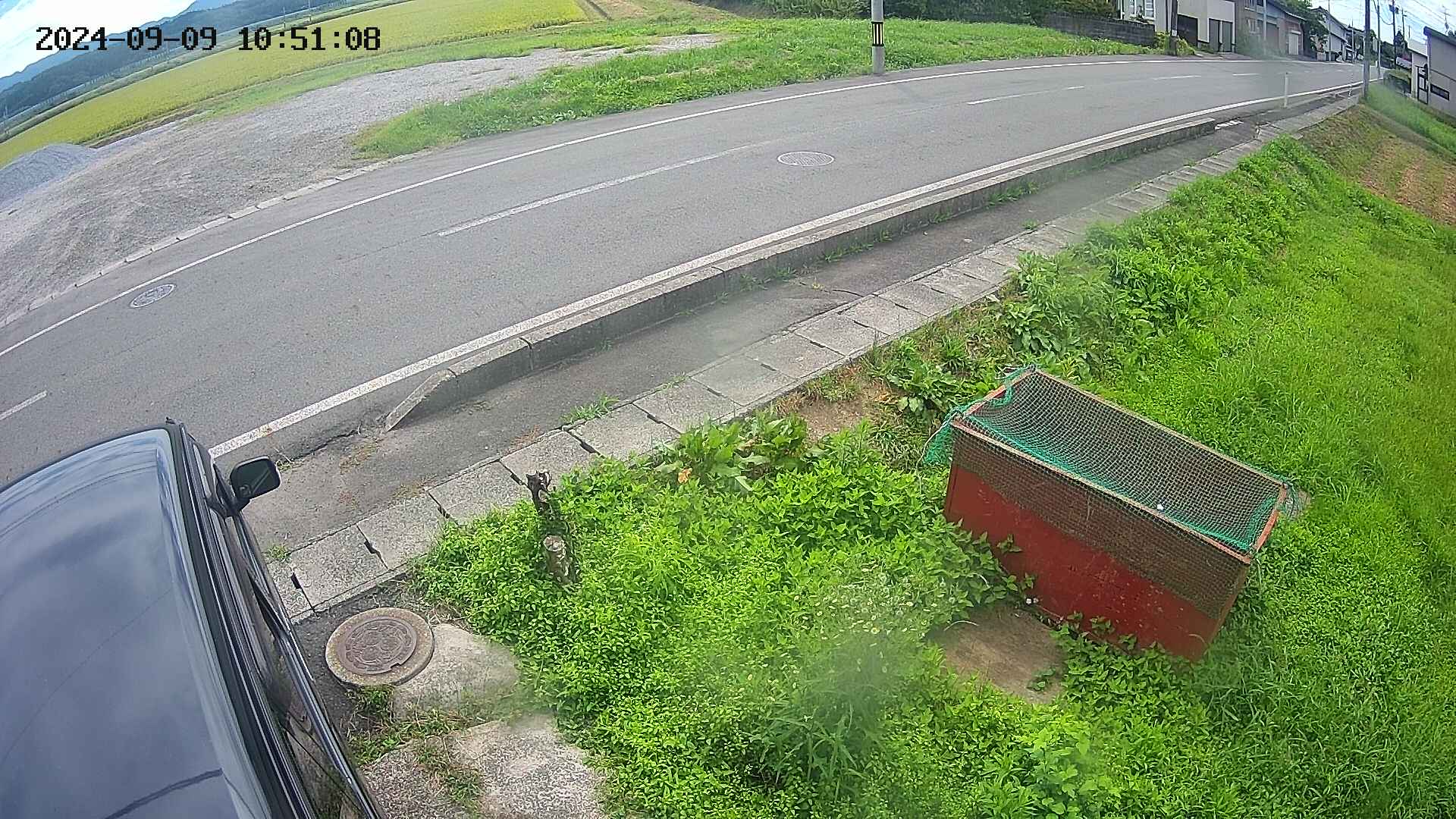yotec6-20240909105109.jpg