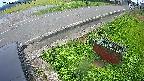 yotec6-20240909115110.jpg