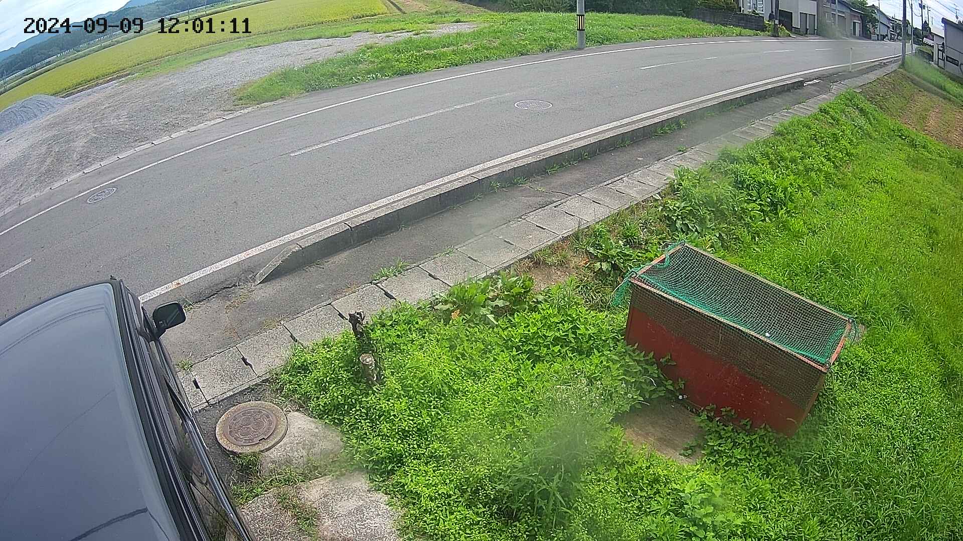 yotec6-20240909120112.jpg