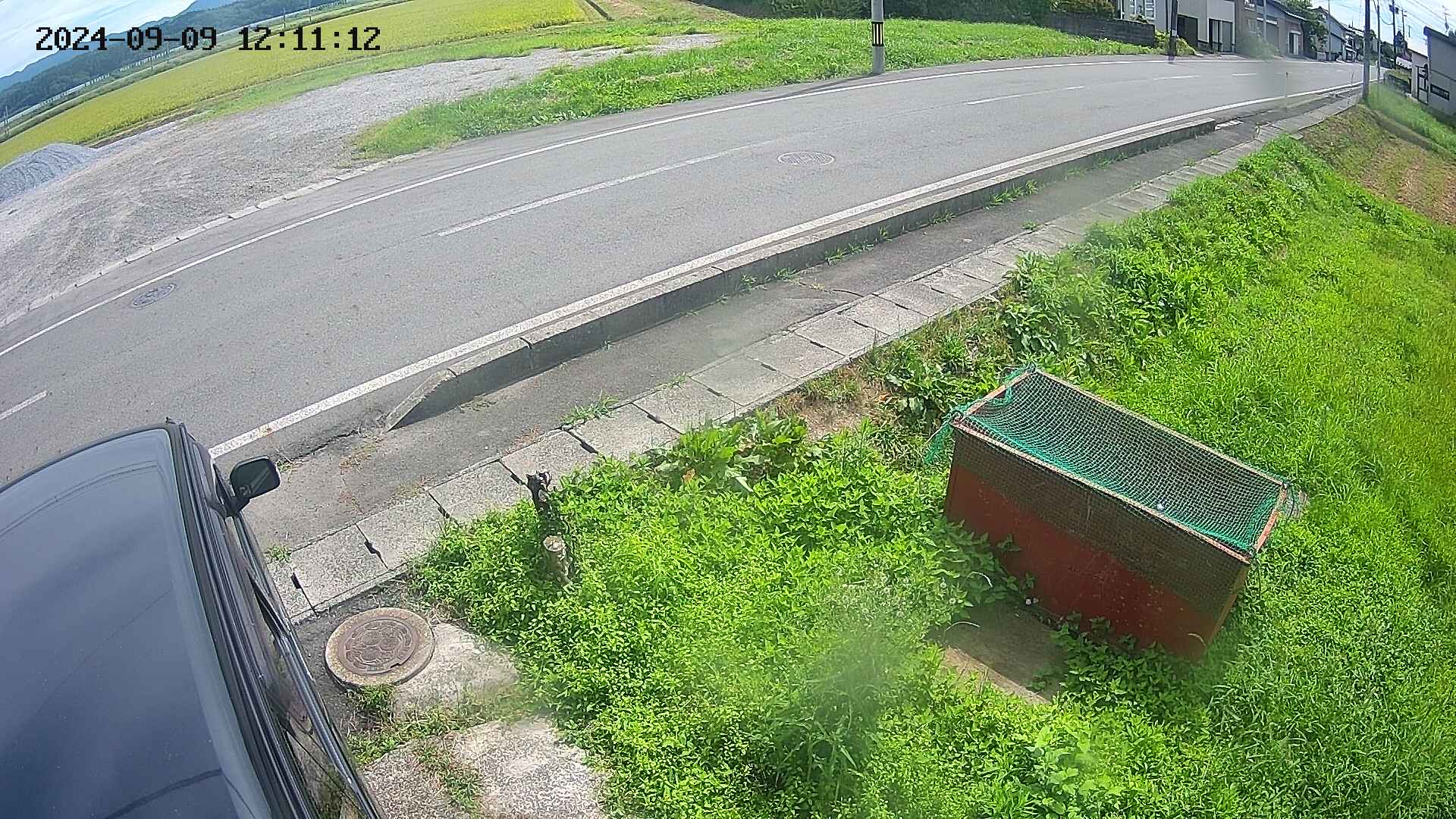 yotec6-20240909121113.jpg