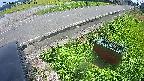 yotec6-20240909124112.jpg