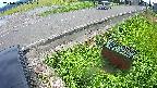 yotec6-20240909125114.jpg