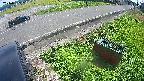 yotec6-20240909131109.jpg