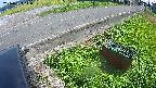 yotec6-20240909140110.jpg