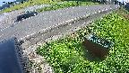 yotec6-20240909141111.jpg