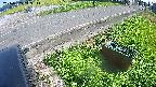 yotec6-20240909143112.jpg