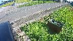 yotec6-20240909150110.jpg