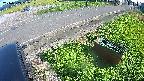 yotec6-20240909152110.jpg