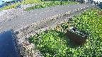 yotec6-20240909153109.jpg