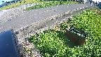 yotec6-20240909154111.jpg