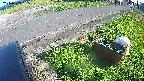 yotec6-20240909155109.jpg