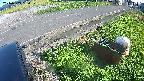 yotec6-20240909160110.jpg