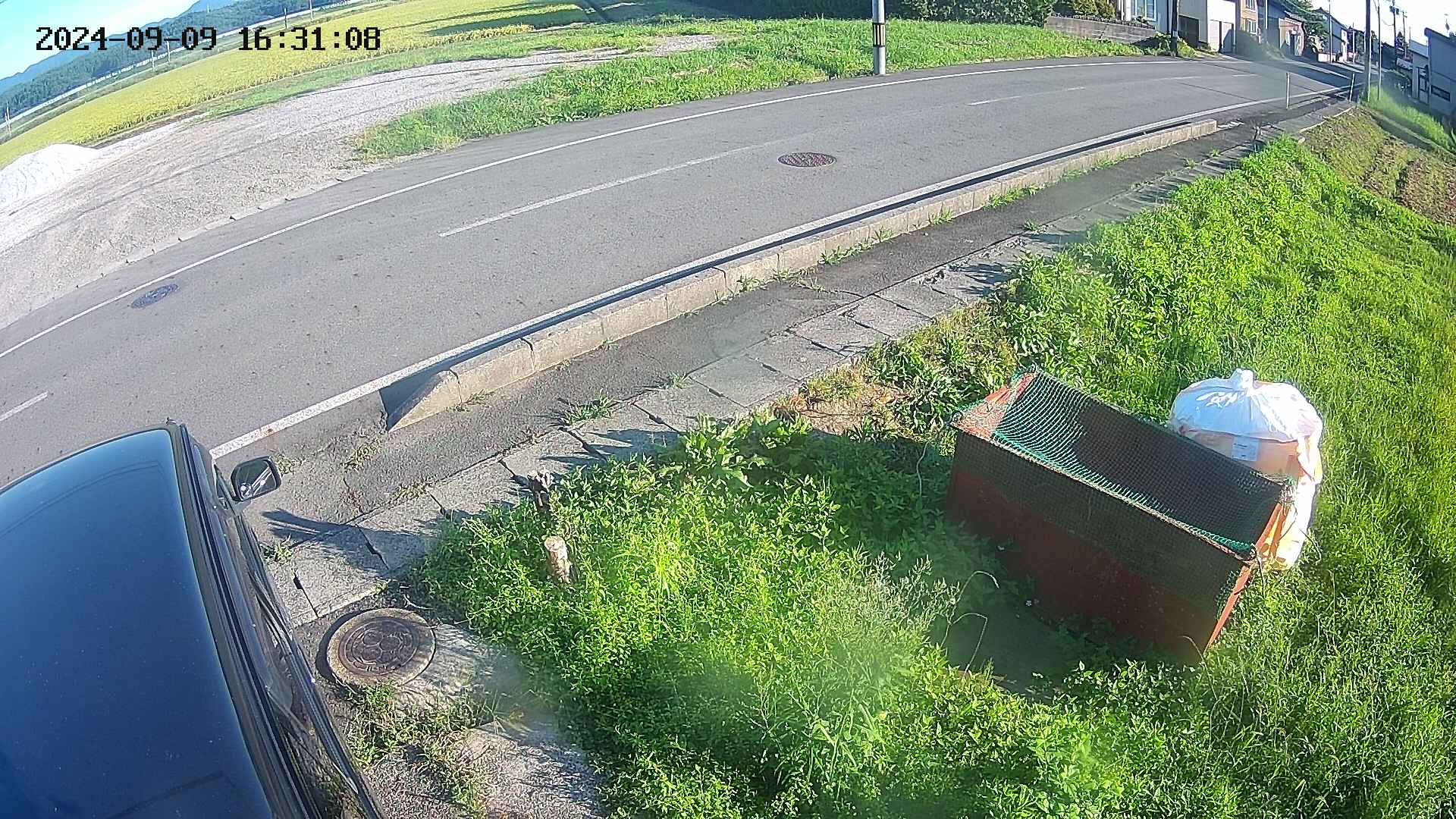 yotec6-20240909163109.jpg
