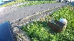 yotec6-20240909163109.jpg
