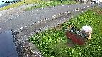 yotec6-20240909181109.jpg
