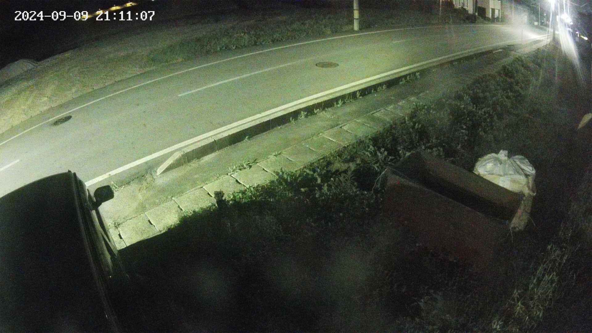 yotec6-20240909211108.jpg