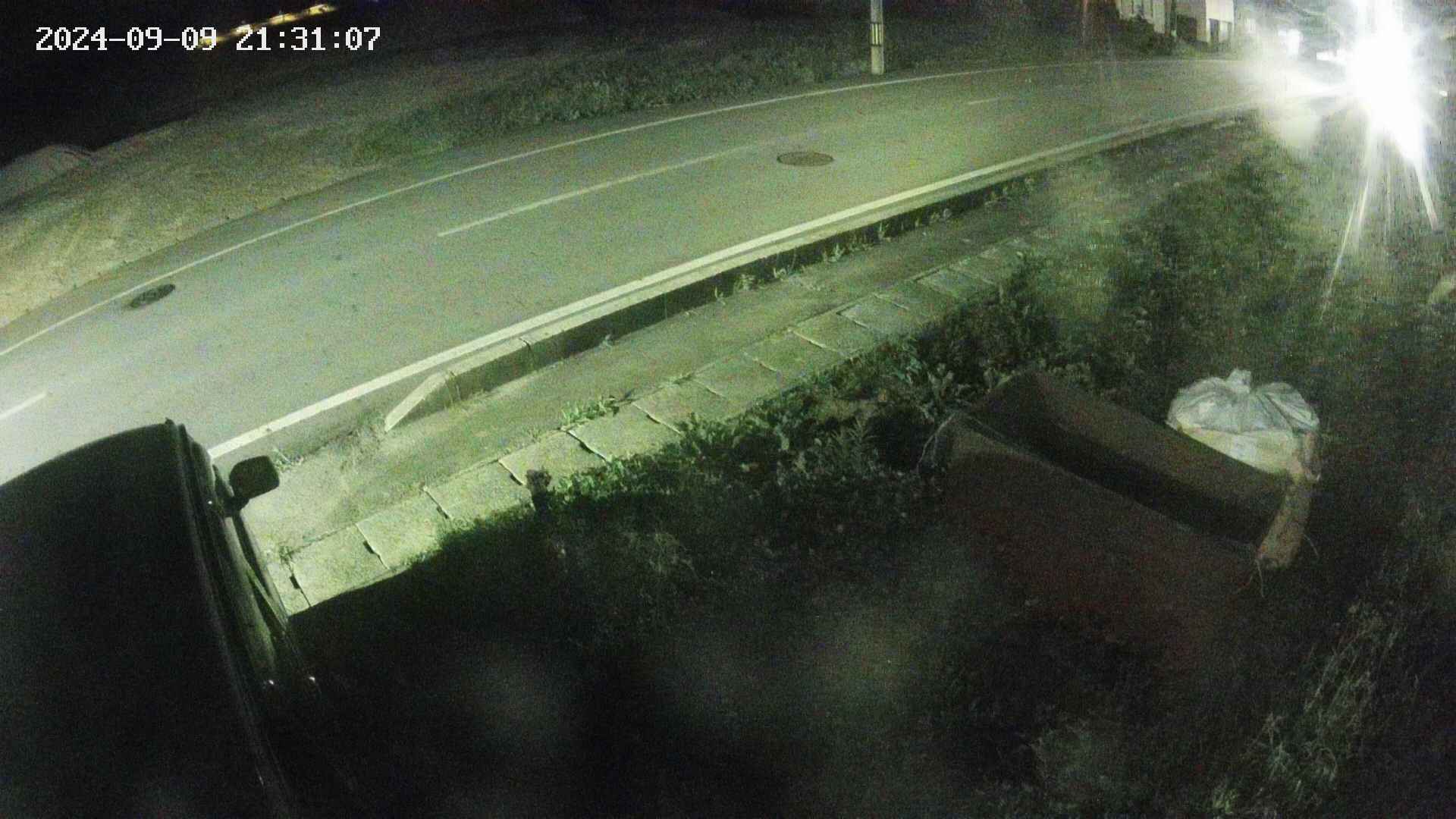 yotec6-20240909213107.jpg