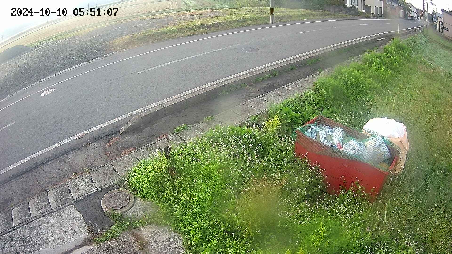 yotec6-20241010055107.jpg