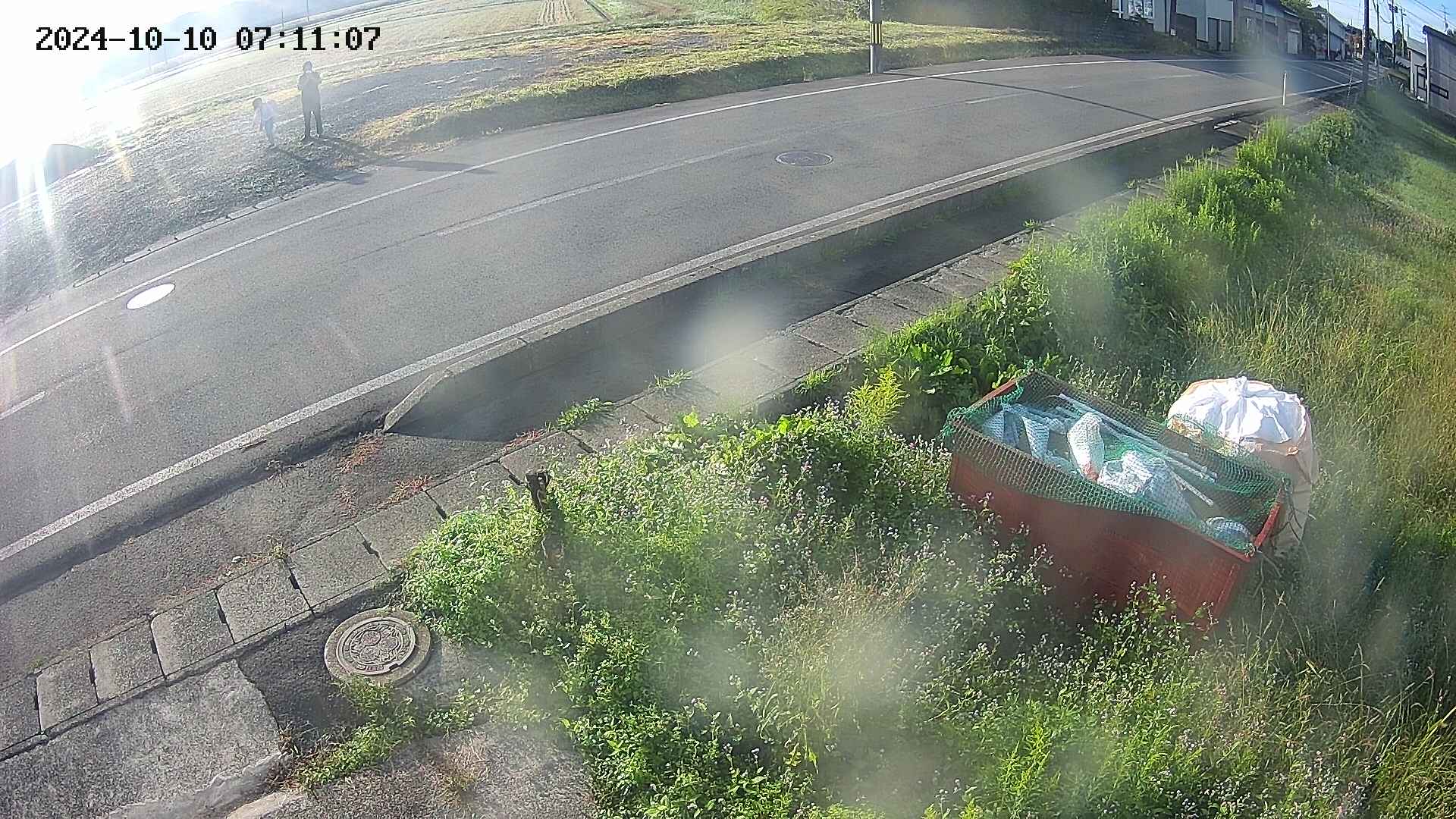 yotec6-20241010071108.jpg