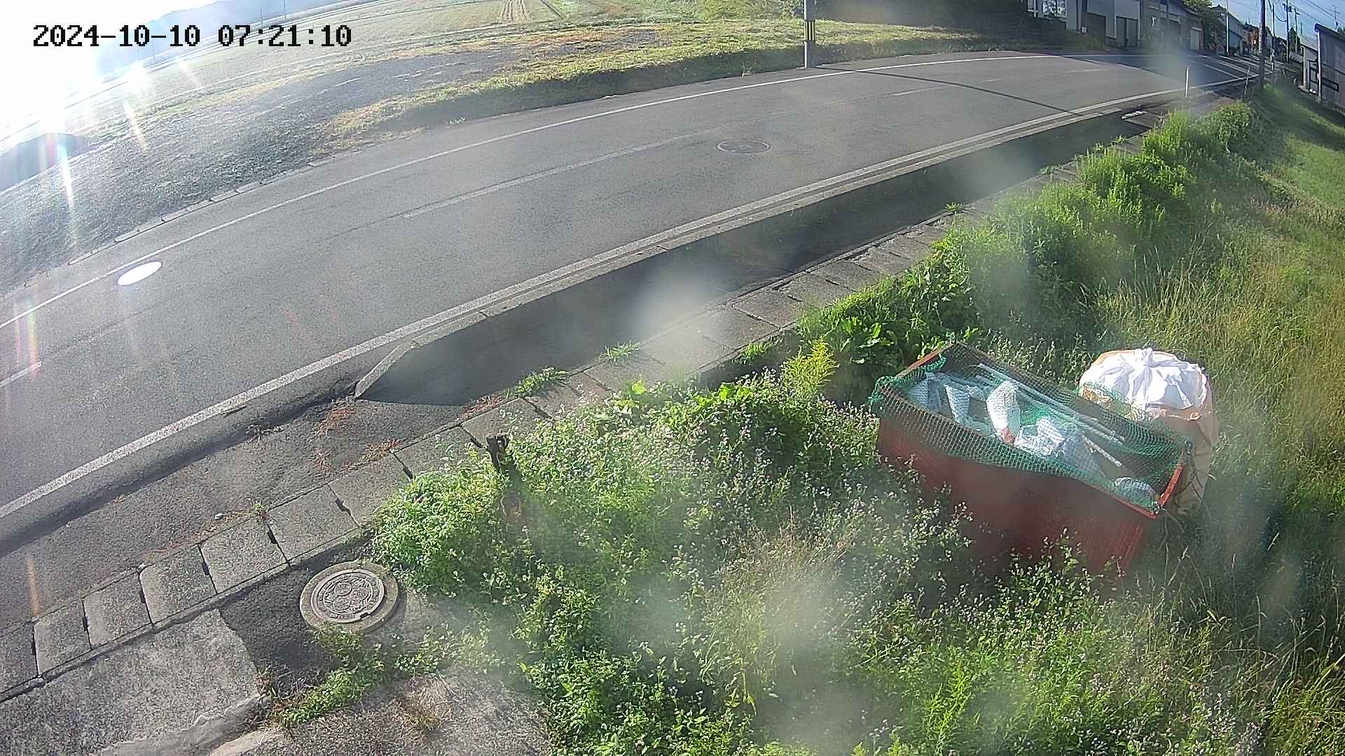 yotec6-20241010072110.jpg