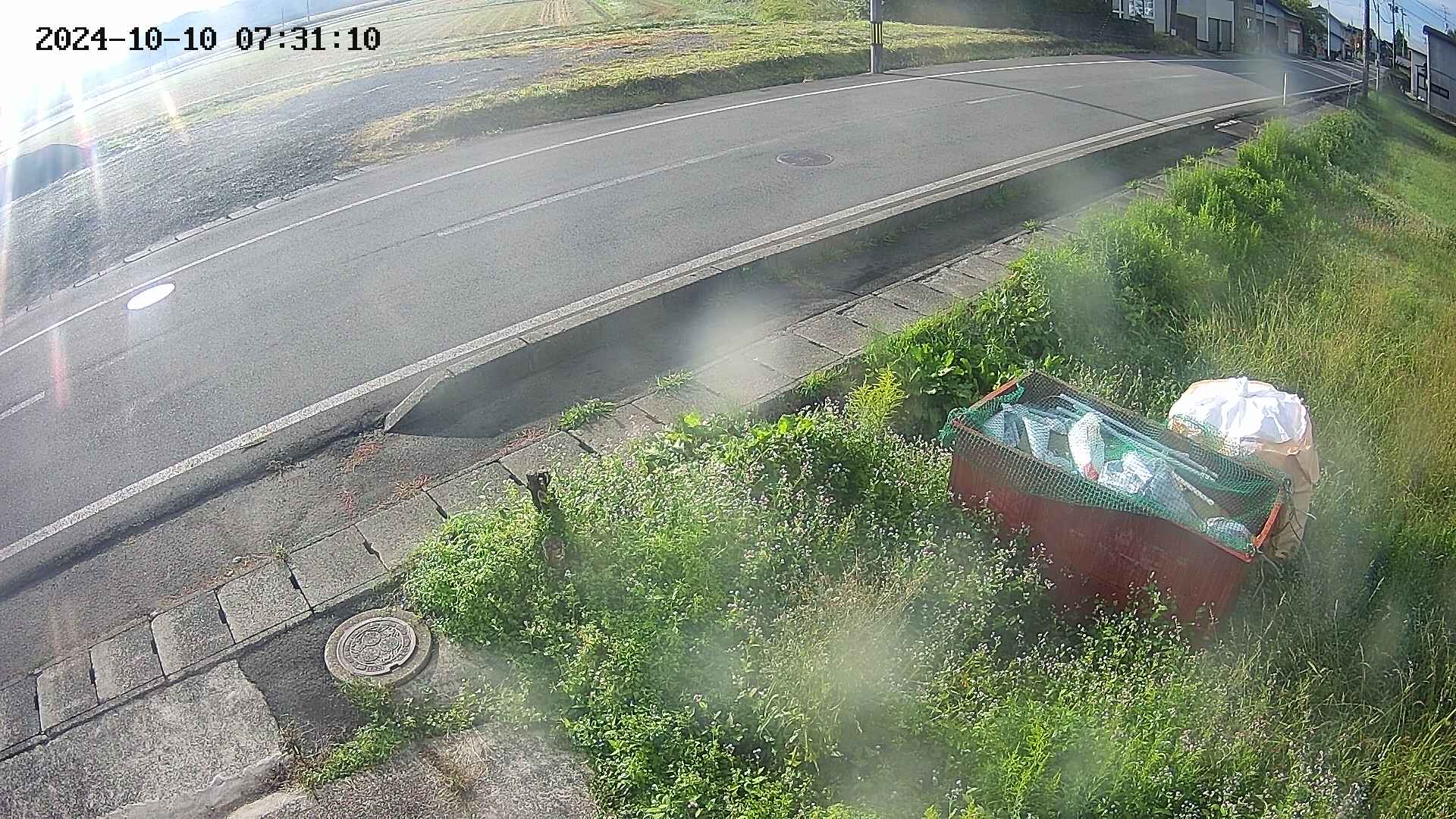 yotec6-20241010073111.jpg