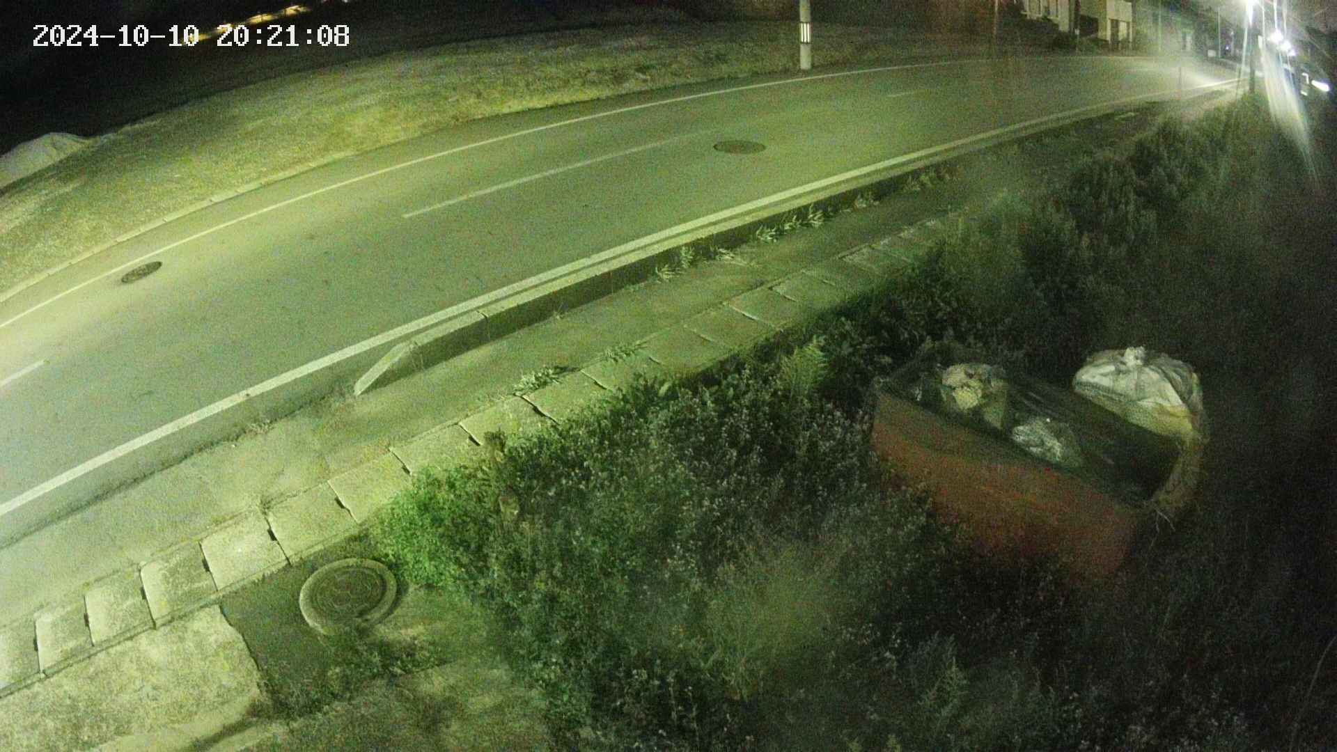 yotec6-20241010202109.jpg