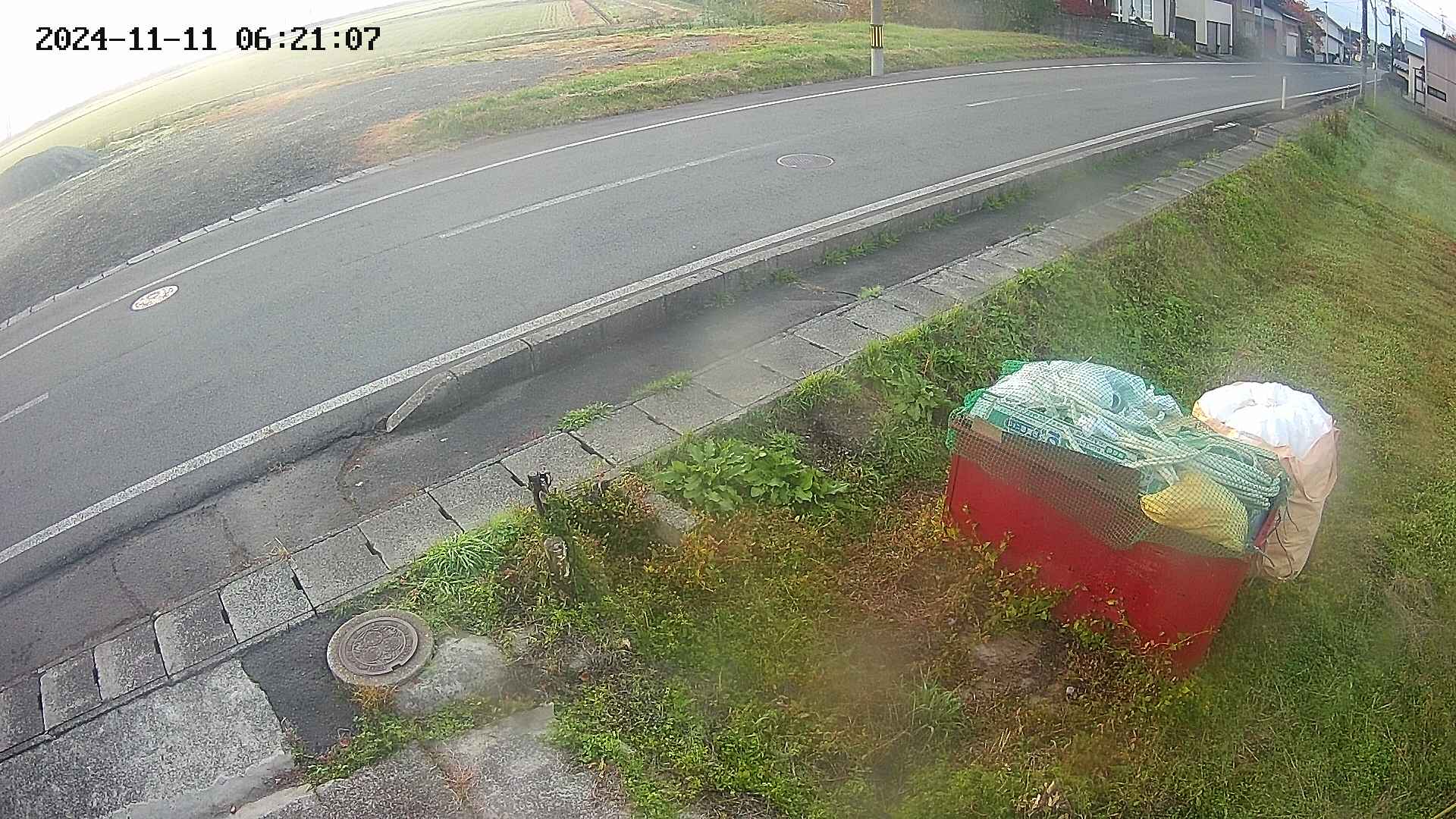yotec6-20241111062108.jpg