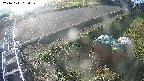 yotec6-20241111080109.jpg