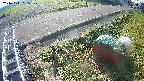 yotec6-20241111095108.jpg