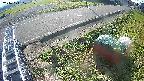 yotec6-20241111101110.jpg