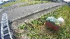 yotec6-20241111105108.jpg