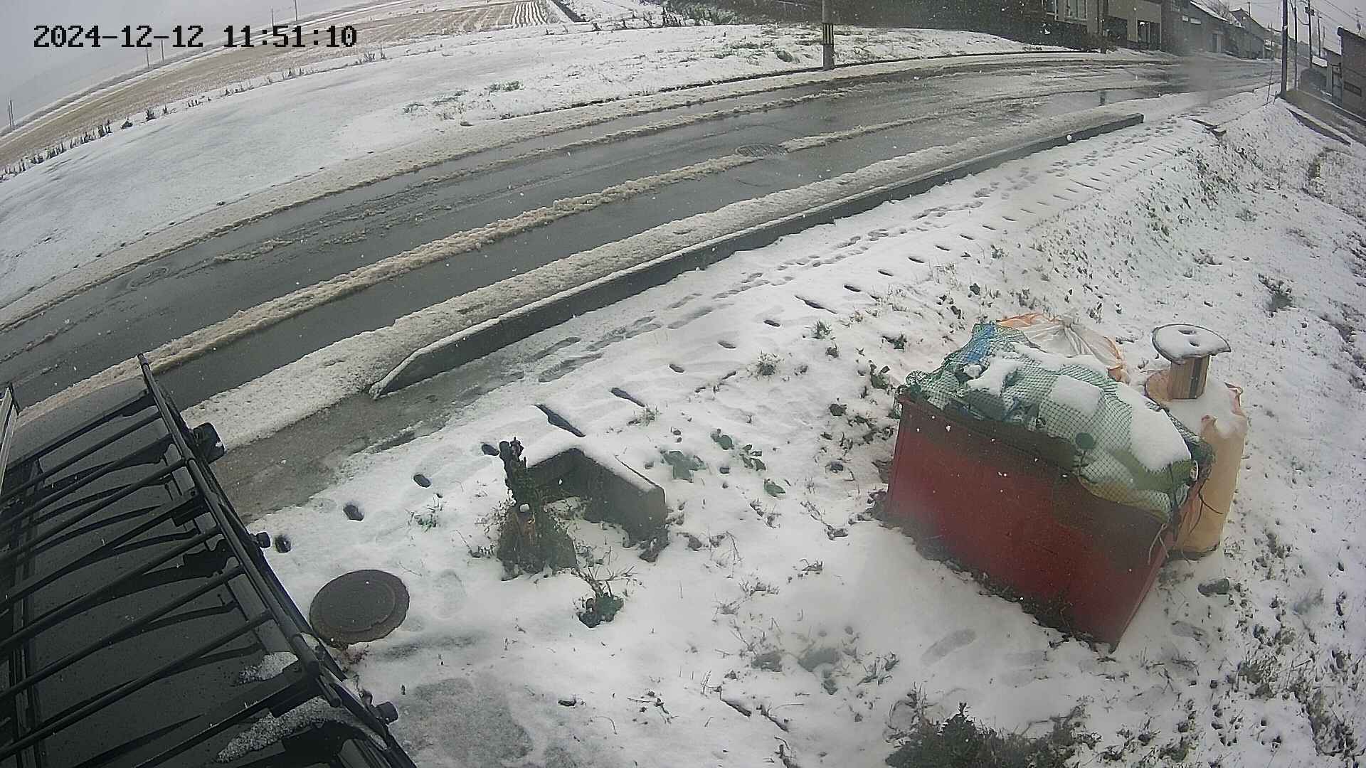 yotec6-20241212115112.jpg